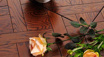 ���ܙ���-�{ɪ