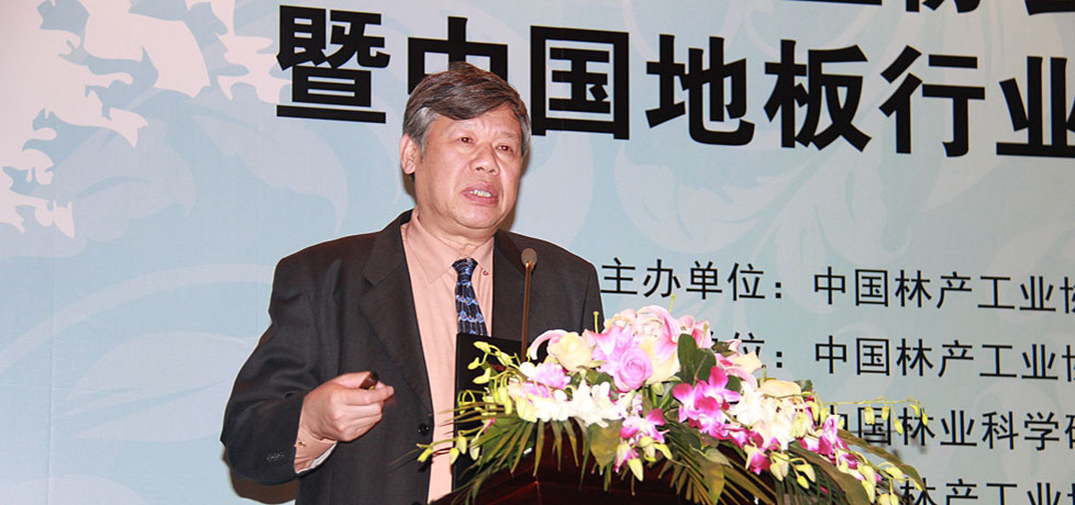 中國林產(chǎn)工業(yè)協(xié)會(huì)地板專業(yè)委員會(huì)理事長(zhǎng)、中國林科院木材工業(yè)研究所所長(zhǎng)葉克林發(fā)言