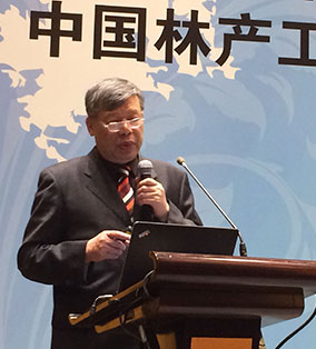 協(xié)會(huì)理事長(zhǎng)葉克林先生做主題報(bào)告發(fā)言