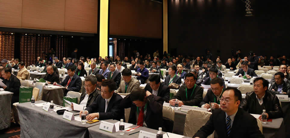 中國(guó)地板行業(yè)20年論壇暨中國(guó)林產(chǎn)工業(yè)地板專業(yè)委員會(huì)2015年會(huì)現(xiàn)場(chǎng)